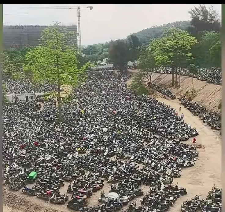 电动自行车整治初见成效，停车场停的电动车越来越多了。这么大面积电动车，怎么处理呢