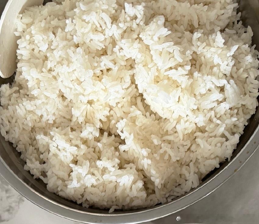 陈哲远饭量就一勺陈哲远