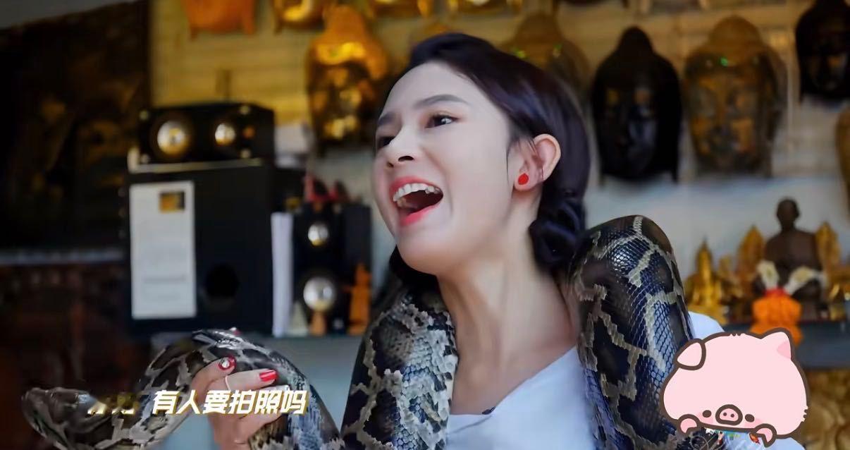 陈瑶早期综艺这么拼吗这还是我认识的陈瑶吗这就是传说中的“人不可貌相”吧？陈瑶平时