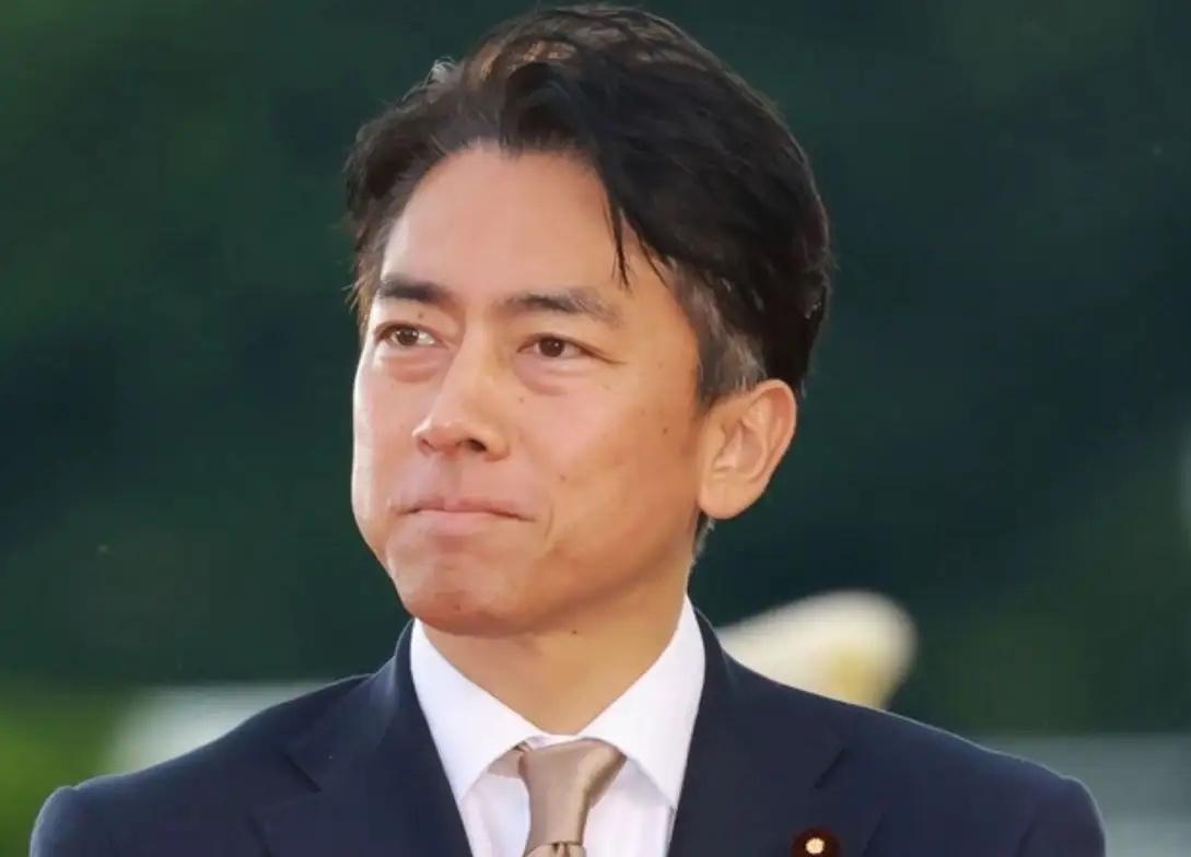 小泉进次郎才44岁，就急轰轰地想要当首相。现在局势乱糟糟的，并不是最佳时机。