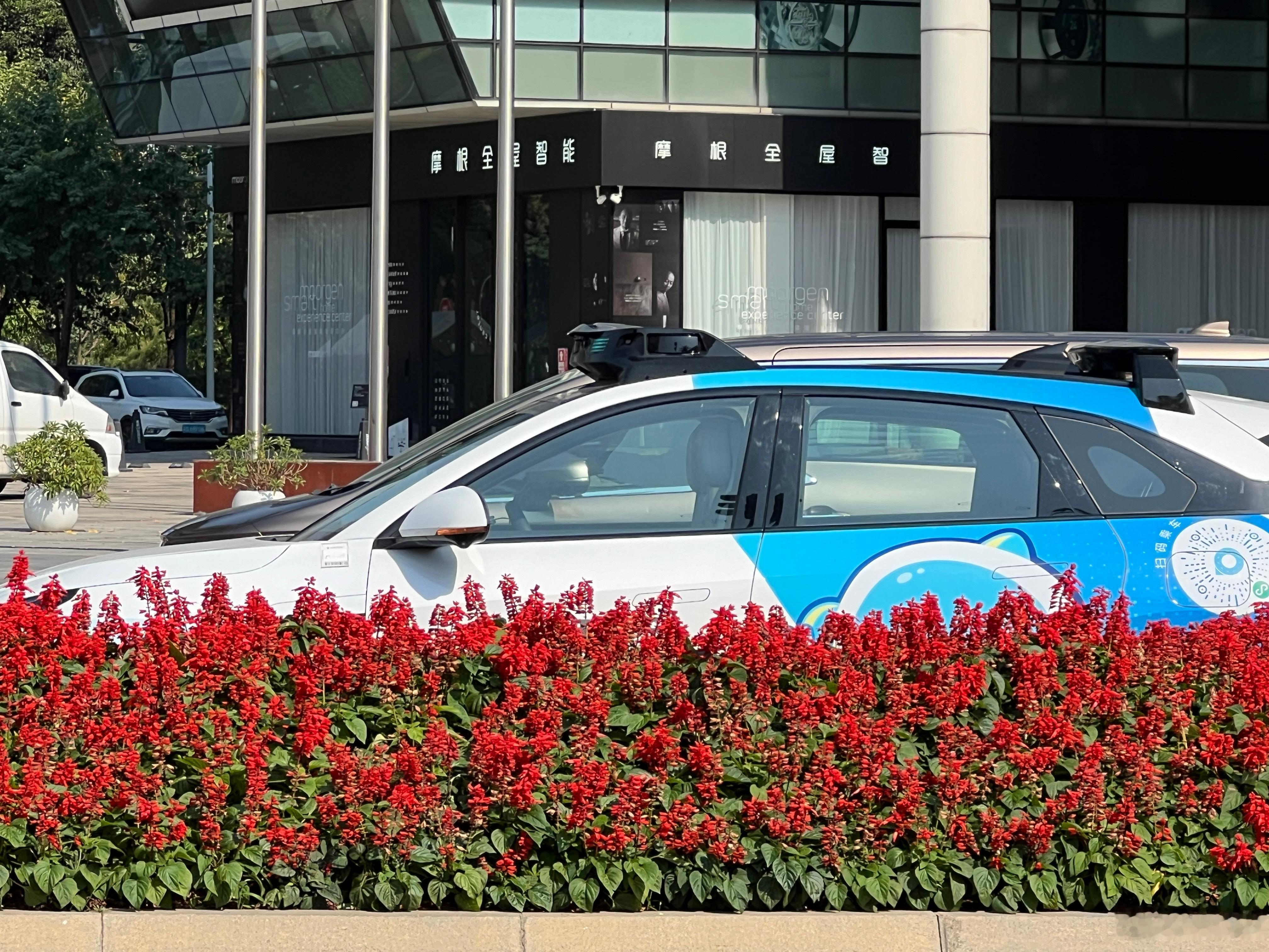 每次去深圳南山，看到这些无人驾驶的小马智行Robotaxi，以及无人送餐车、快递