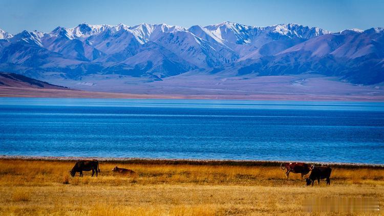 赛里木湖凭什么火到现象级赛里木湖在7000万年前喜马拉雅造山运动的时候就形成了。