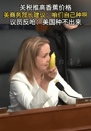 美商务部长被骂就是个棒槌，美议员提问美商务部长，为什么要给香蕉加关税，美商务部长