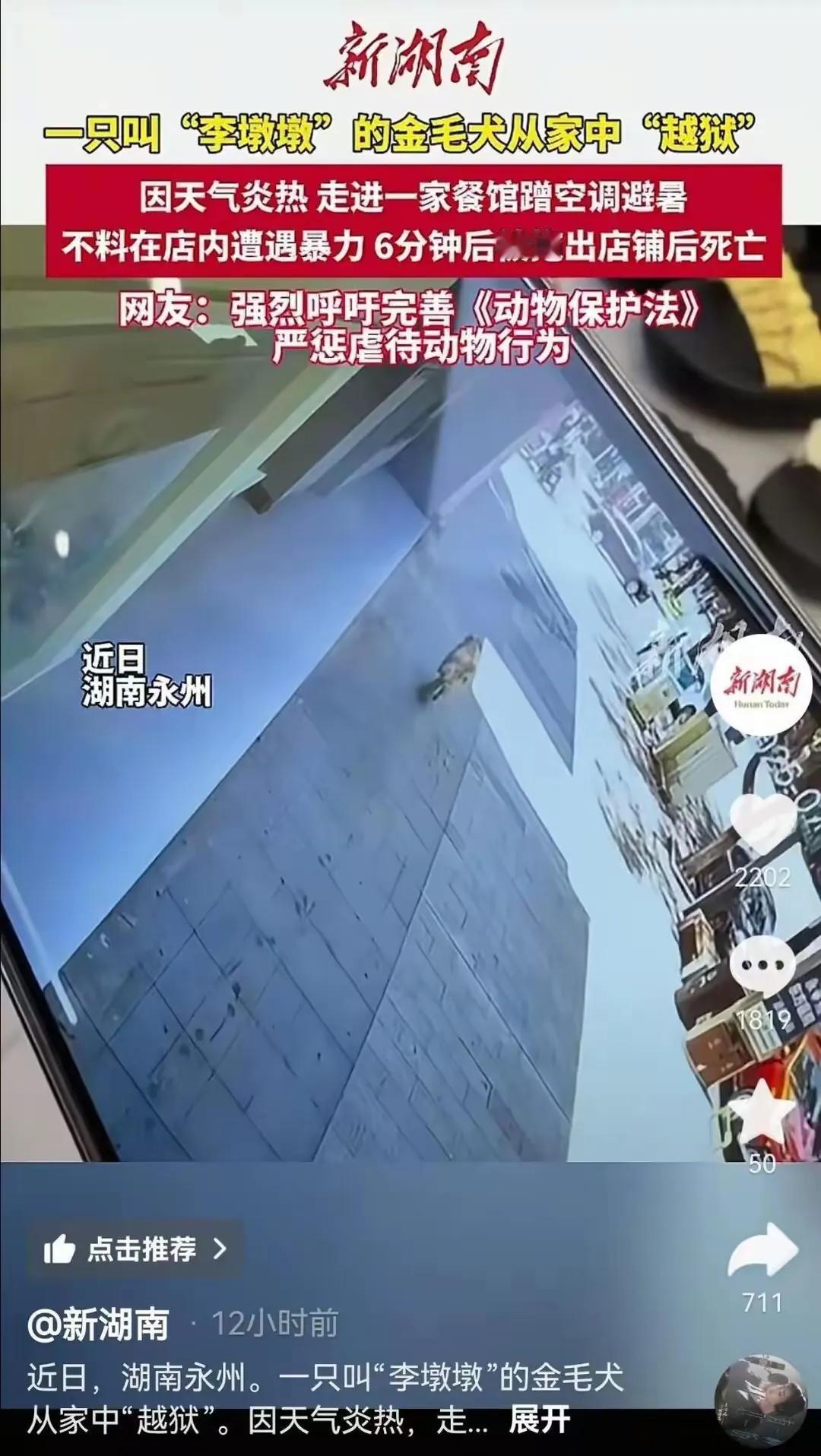 金毛被打死一事，饭店固然不对，但狗主人的责任更大。而且饭店这么做，没有任何责任。