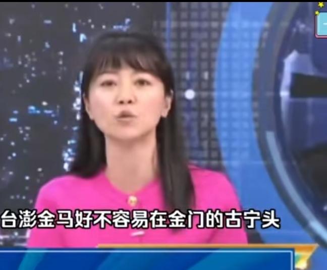 台独份子真是疯狂到了极点,作为台独份子的高嘉瑜竟然口出狂言说,国民党1949年1