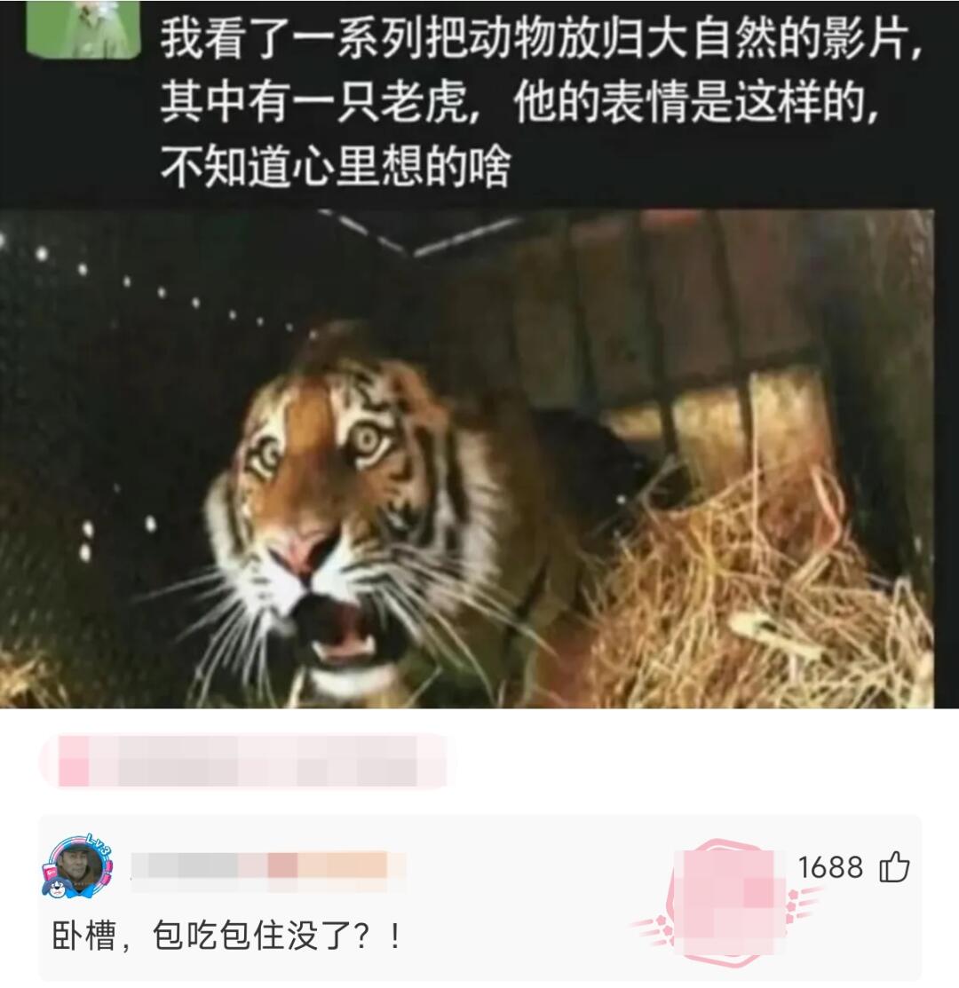 不知道心里想的啥