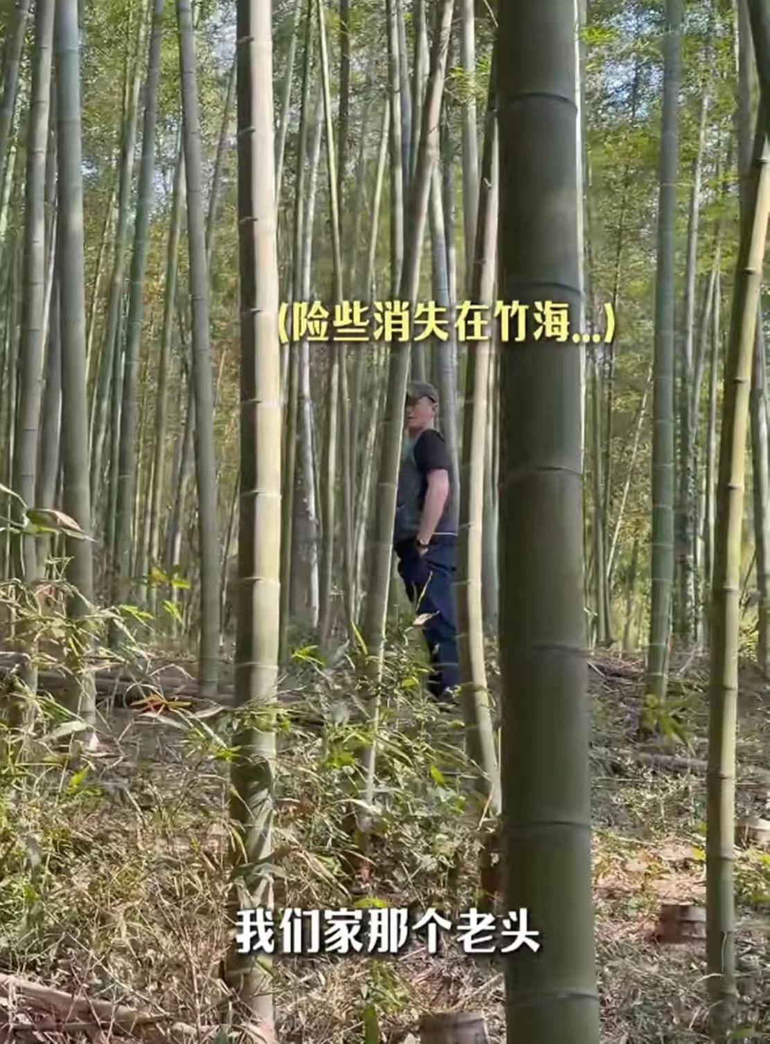 春意初显的三月，周一围与朱丹夫妇带着三个孩子一同上山体验挖笋的乐趣。45岁的朱丹