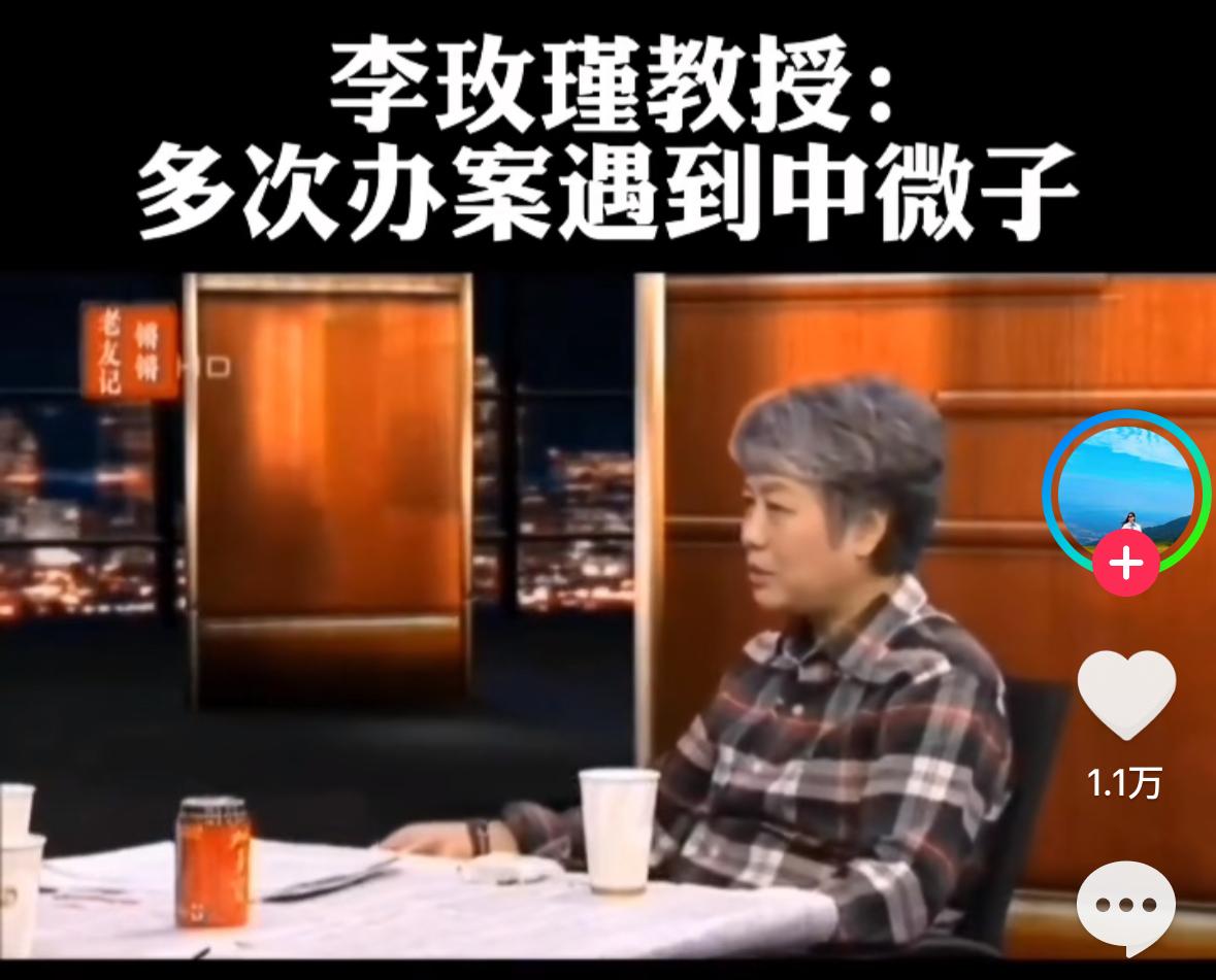 【琅河财经】中国公安大学教授李玫瑾在访谈中，分享她在办案过程中遇到的、难以用常理