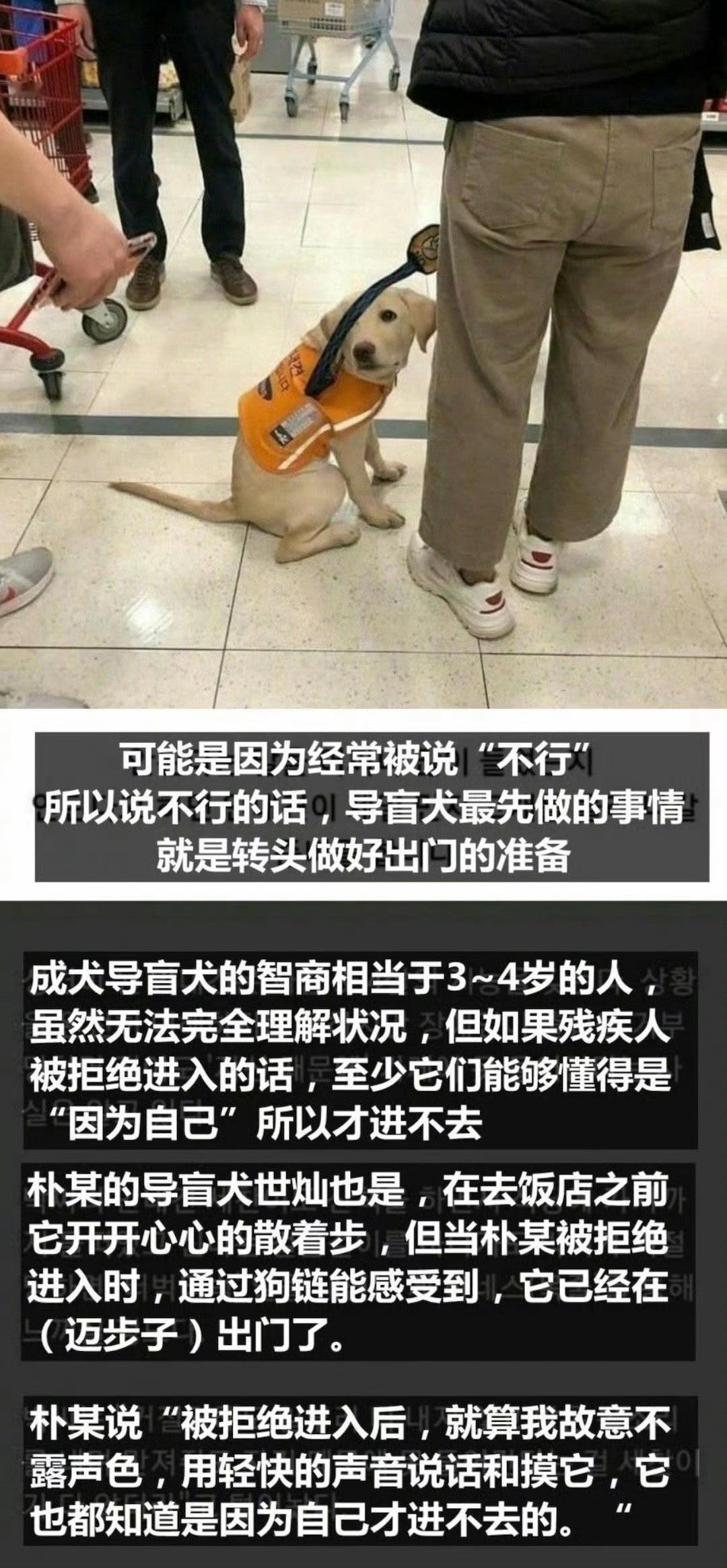 狗狗明白是因为自己才会被拒绝的…​​​
