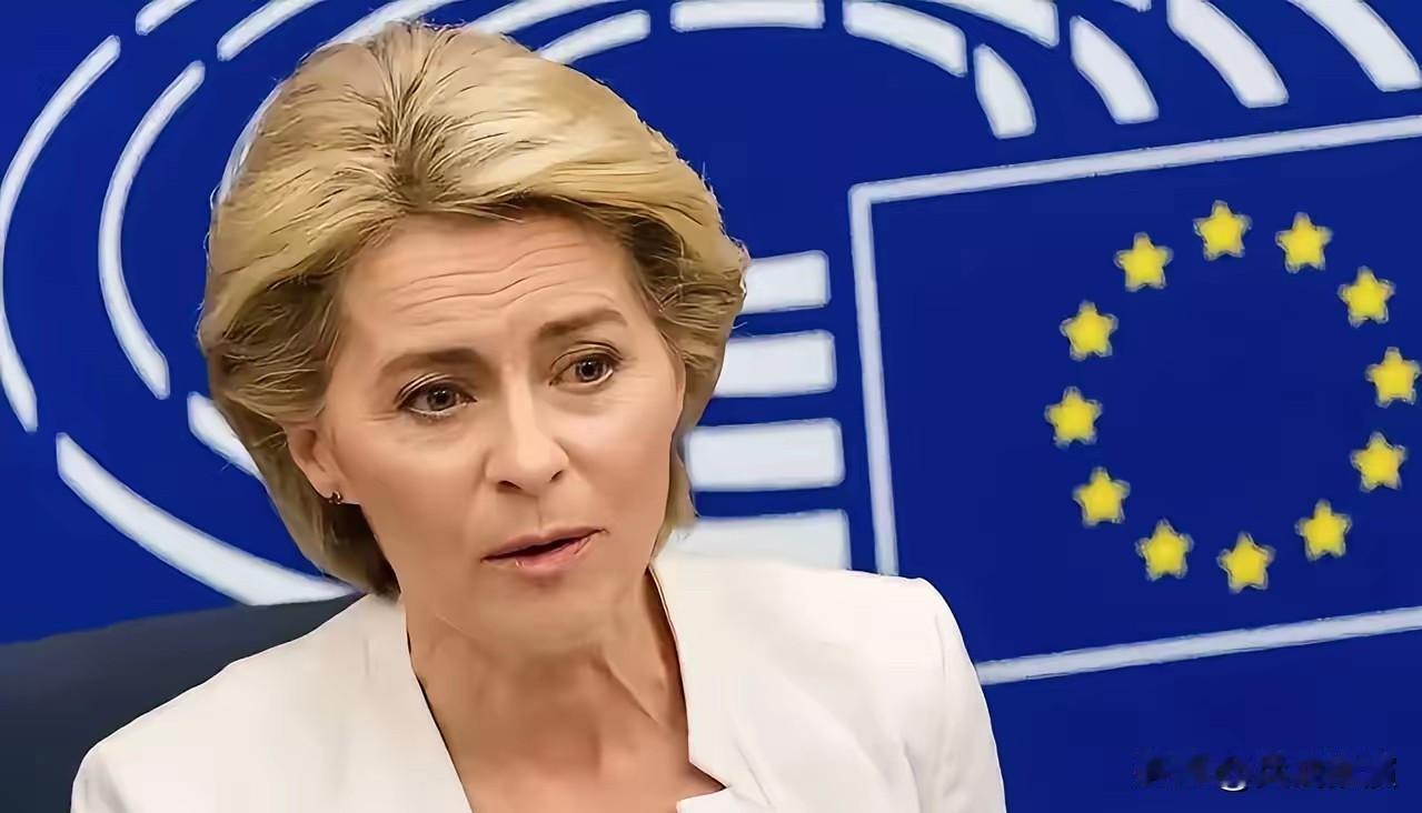 欧盟双标现场：芬兰教授灵魂拷问冯德莱恩，全场哑口无言芬兰教授一句话，直接撕开