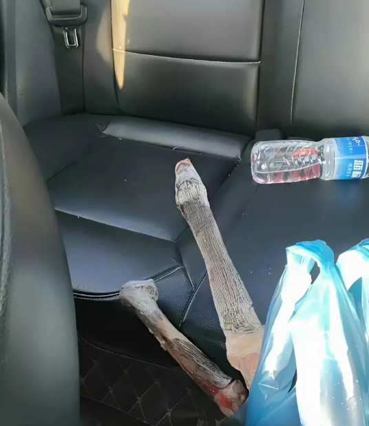 打滴滴的时候看到了这个，现在下车还来得及吗