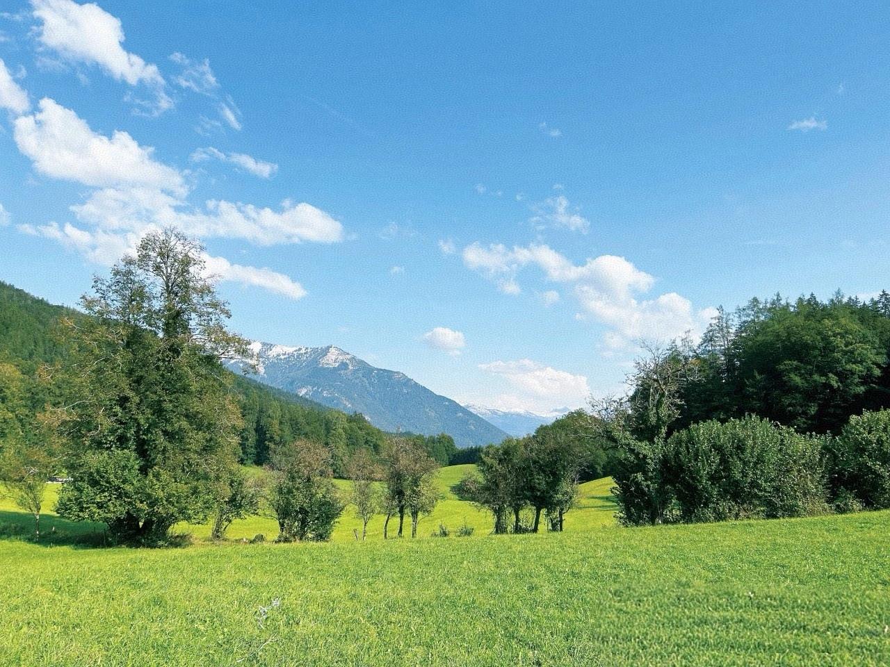 行业处于上升期时，钱相对好挣。我有个朋友，只有初中学历，原本是卖衣服的。之前房子