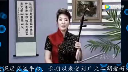 宋飞二胡演奏(我的祖国)