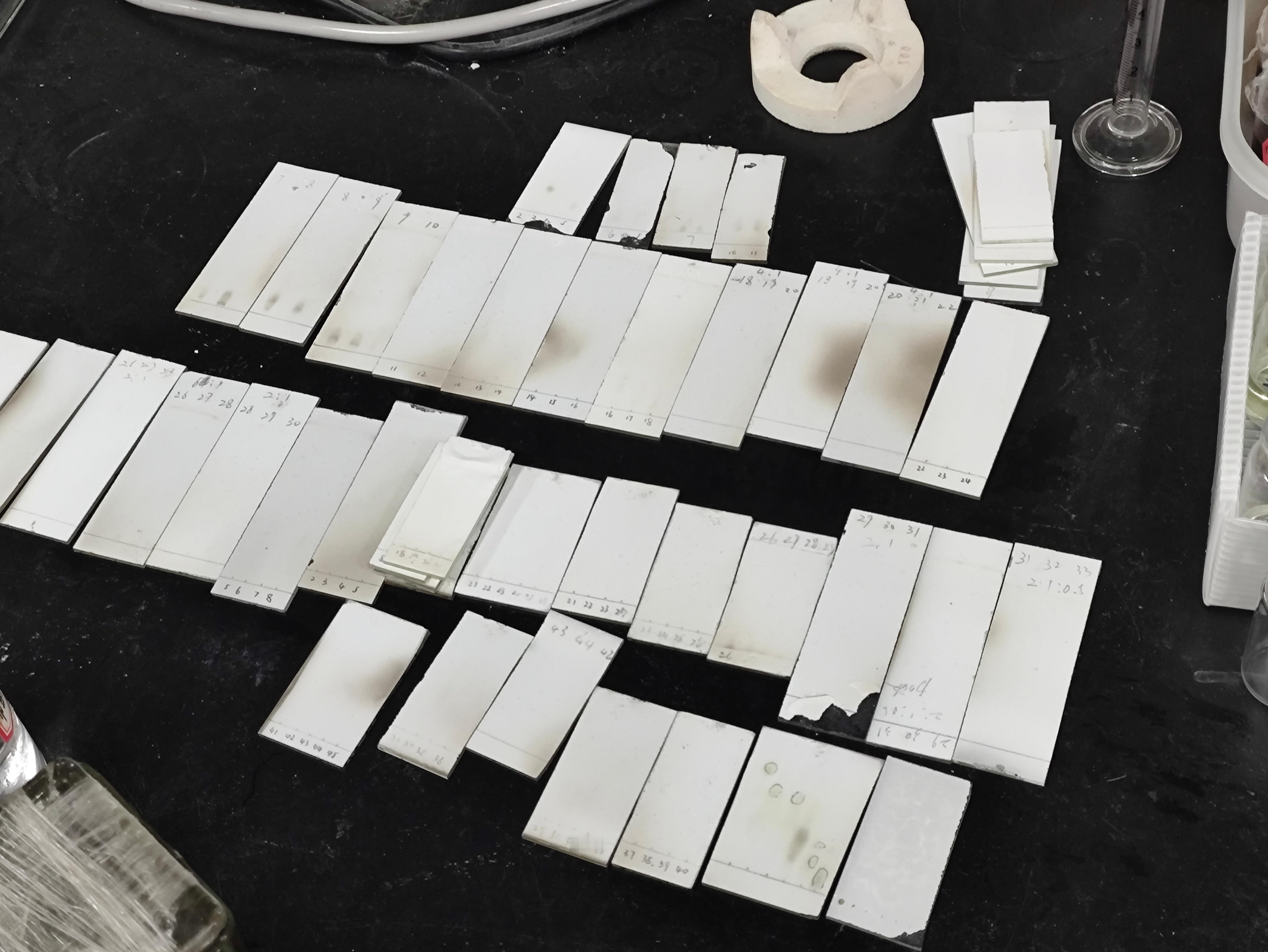 满分女本学期实验做完了