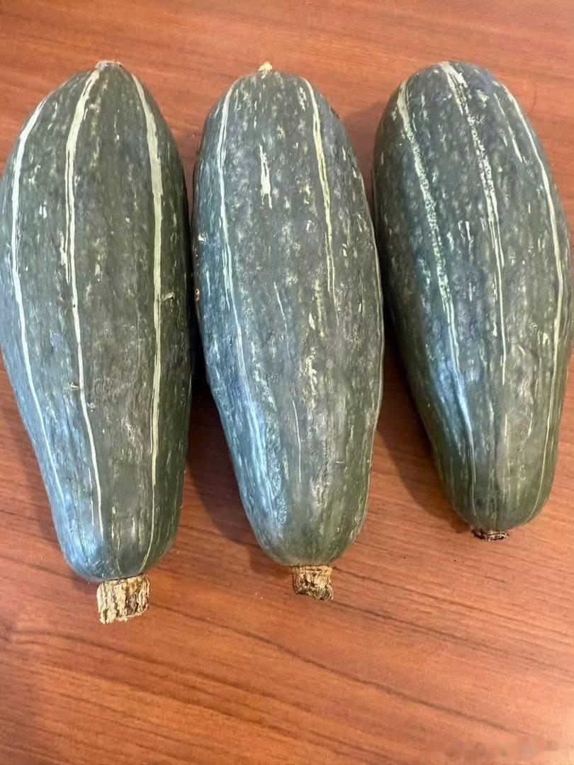 种植🥬微公益🥬南瓜种植方法南瓜喜温暖光照充足的环境，最佳播种时间为春季