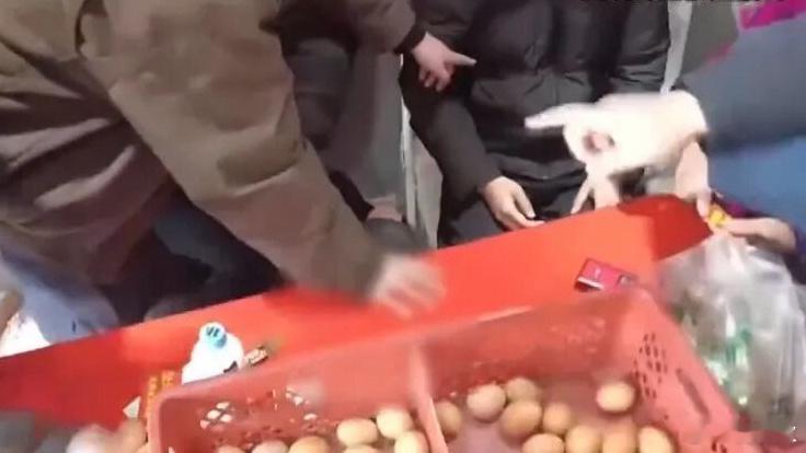 免费鸡蛋最新骗局超市门口的免费鸡蛋，你会去领吗？尽管我已经说了很多次，天上不会掉