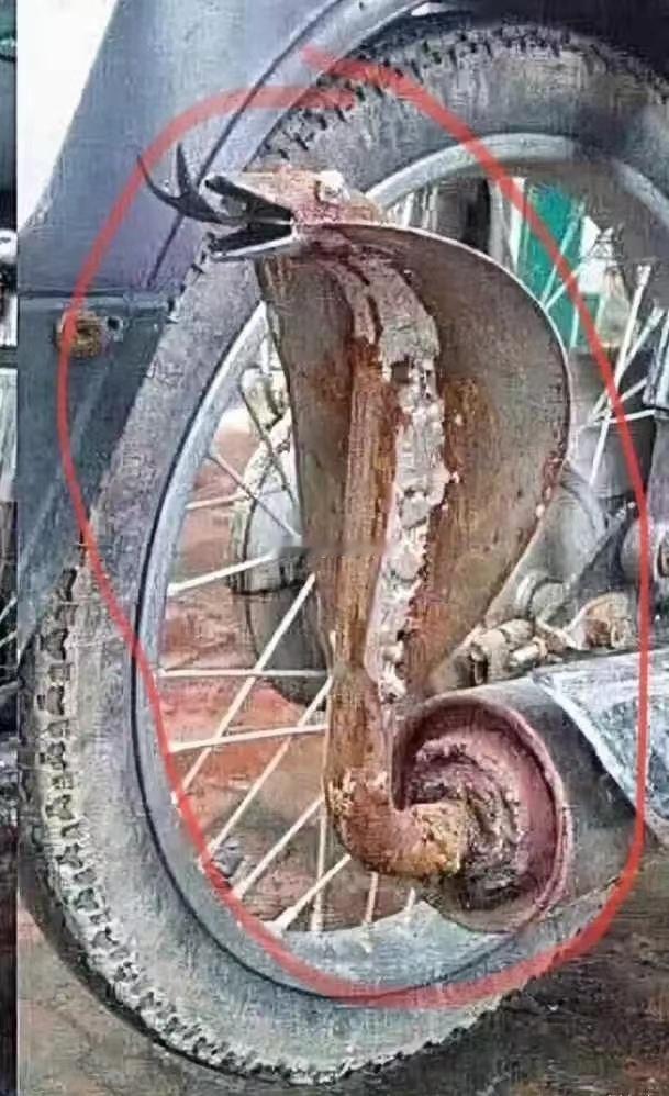 这样的尾排会被认定非法改装吗？？？海阔试车超话