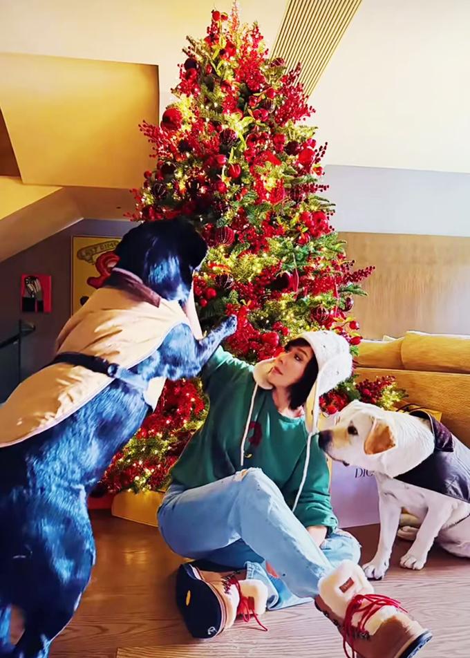 60岁刘嘉玲晒500平豪宅圣诞照，圣诞树顶到天花板，爱马仕礼盒堆成山，两只狗戴圣