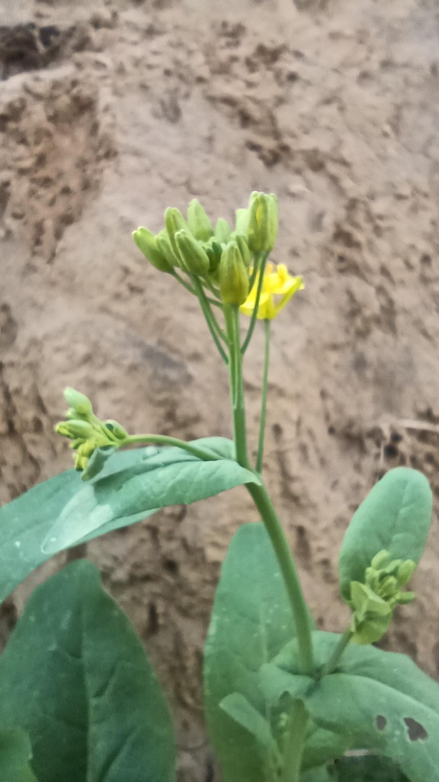 男人在感情里，最怕这句戳心窝子的话夫妻吵架再凶。也别扯到“你不如谁谁谁”