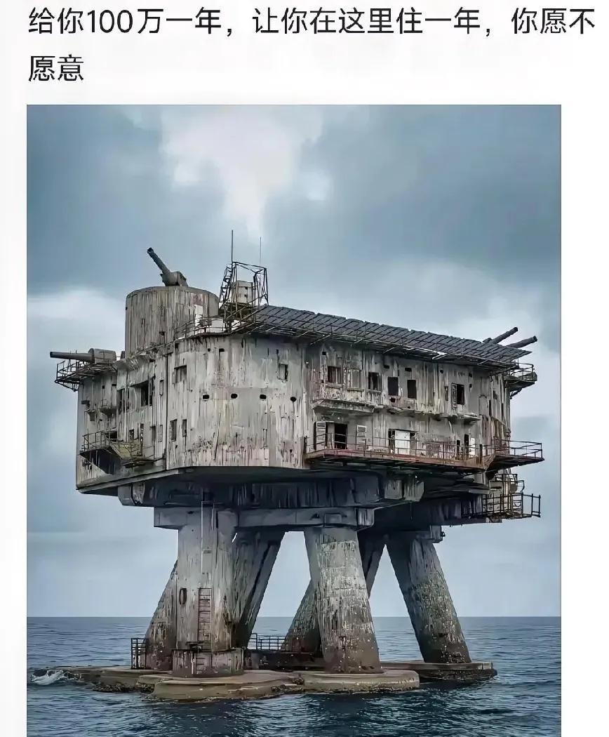淡水食物充足，有网，我能待到世界末日。