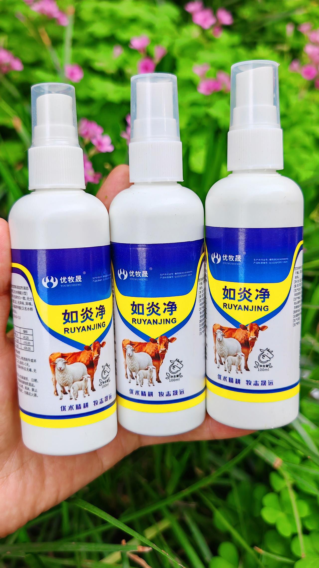 养羊人农村养羊牛羊养殖