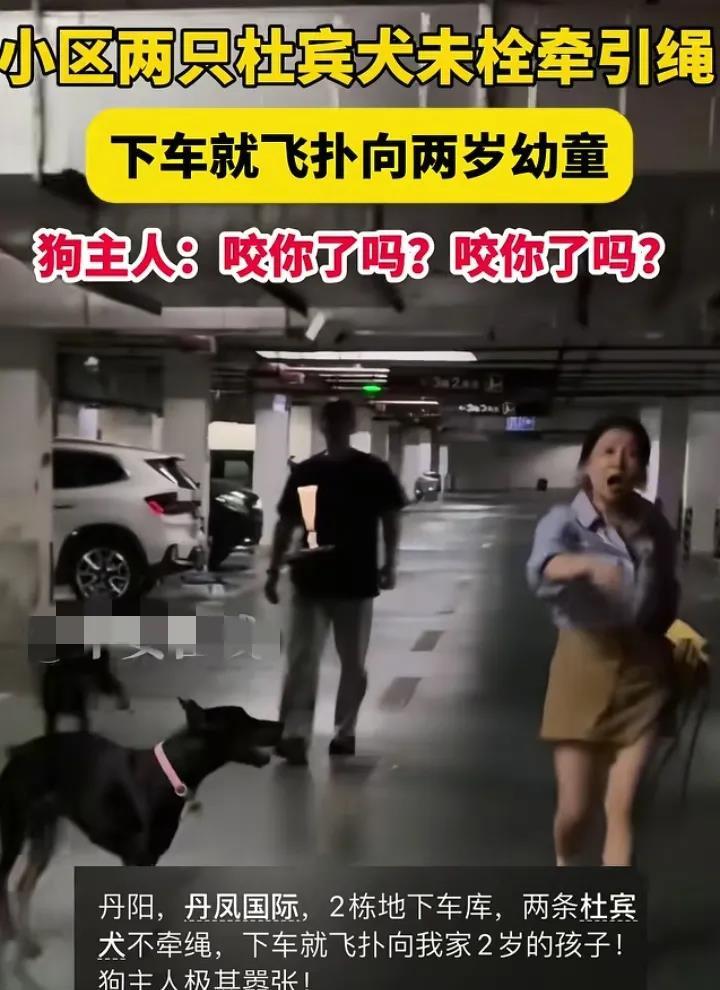只知道“狗仗人势”，第一次看到“人仗狗势”，江苏养狗女子这次摊上事了。她