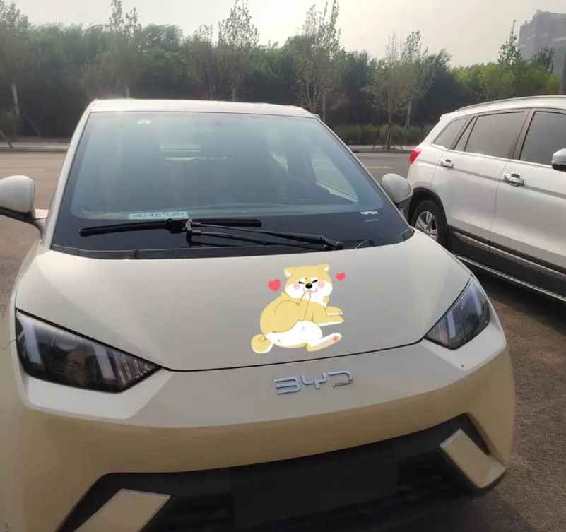 开了一年海鸥，我后悔了我去年入手了比亚迪海鸥，本以为捡到宝，结果现在满心懊悔
