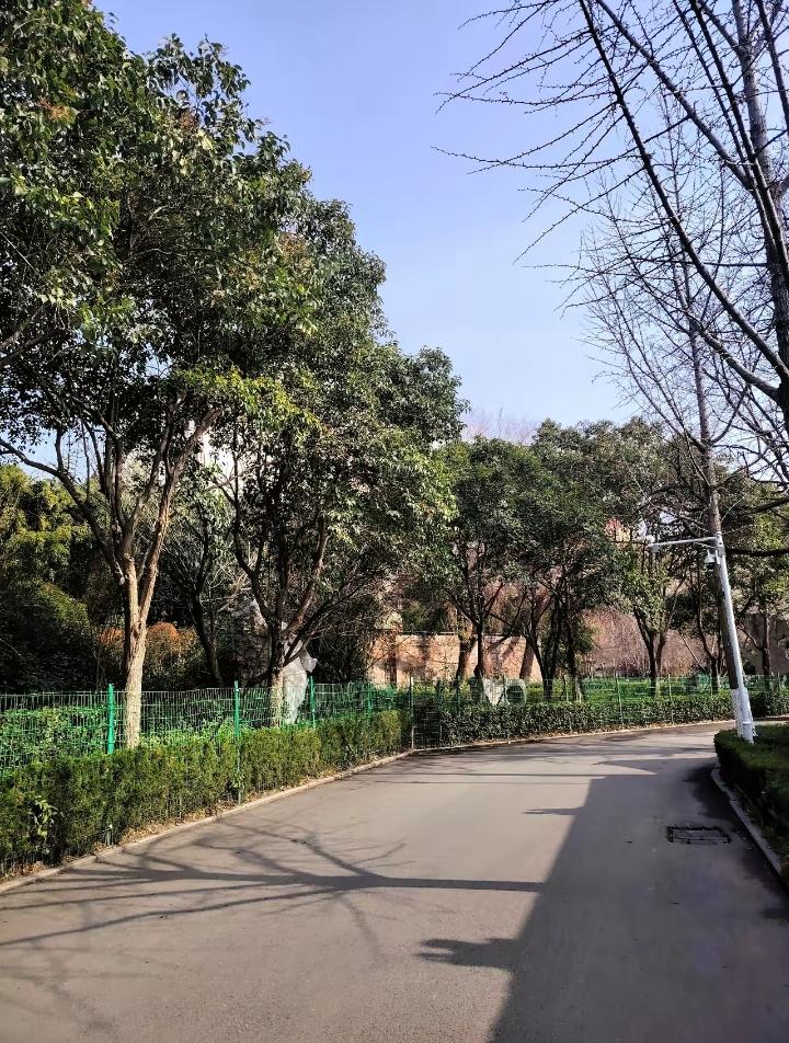 同期任职，双双落马，莫伸手，伸手必被捉。刚刚看到，4月9日，山东省纪委监委通报，