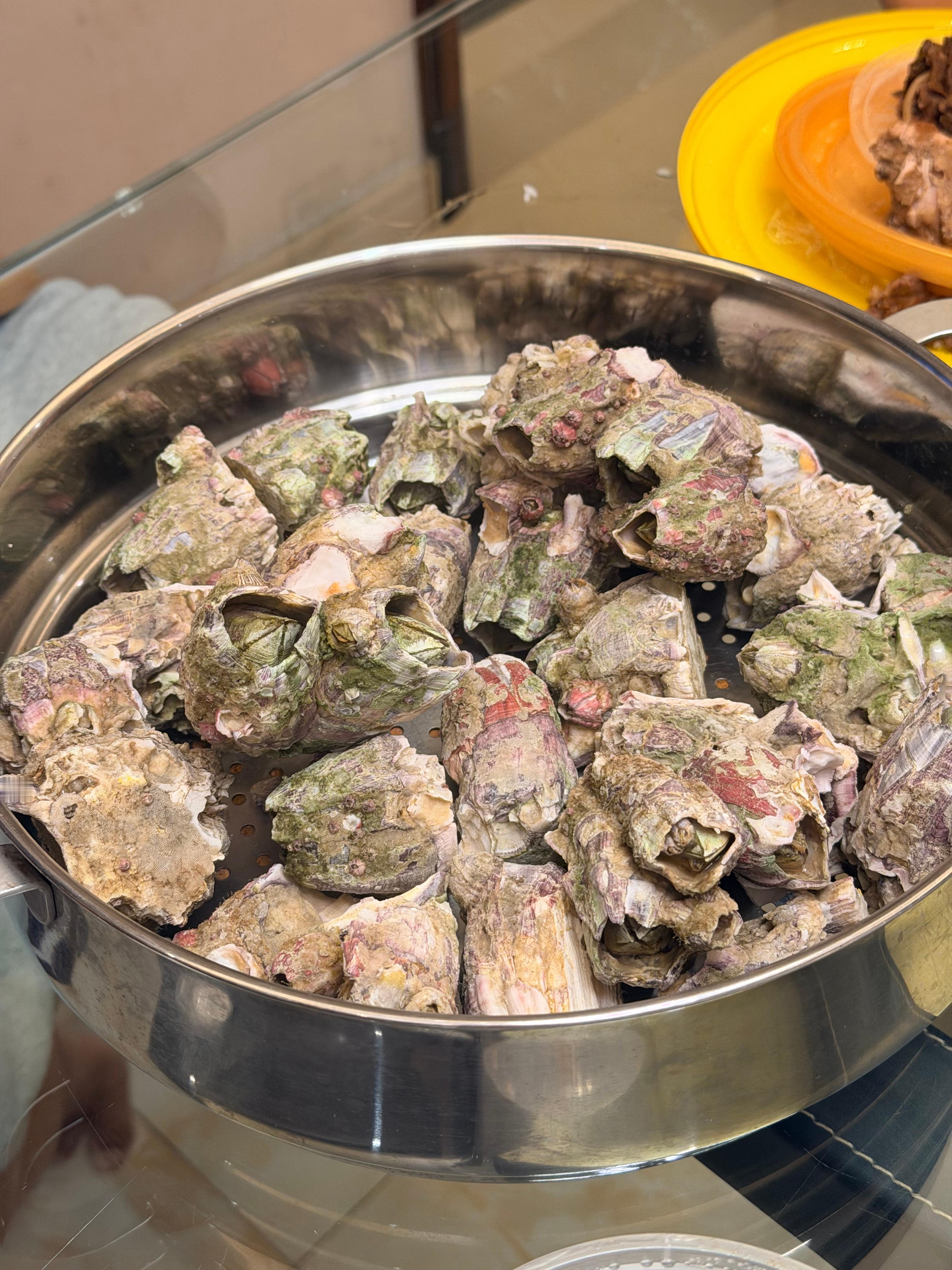 嘿嘿今晚吃藤壶～