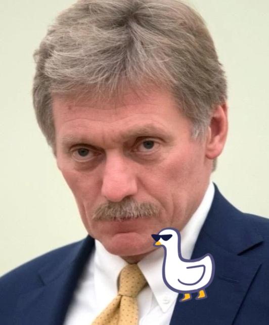 就在刚刚俄罗斯总统秘书宣布11月5日，俄罗斯总统新闻秘书佩斯科夫在简报会上宣