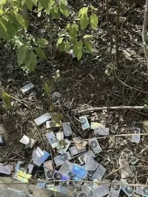 网友：某公园一角，这是什么啊？​​​