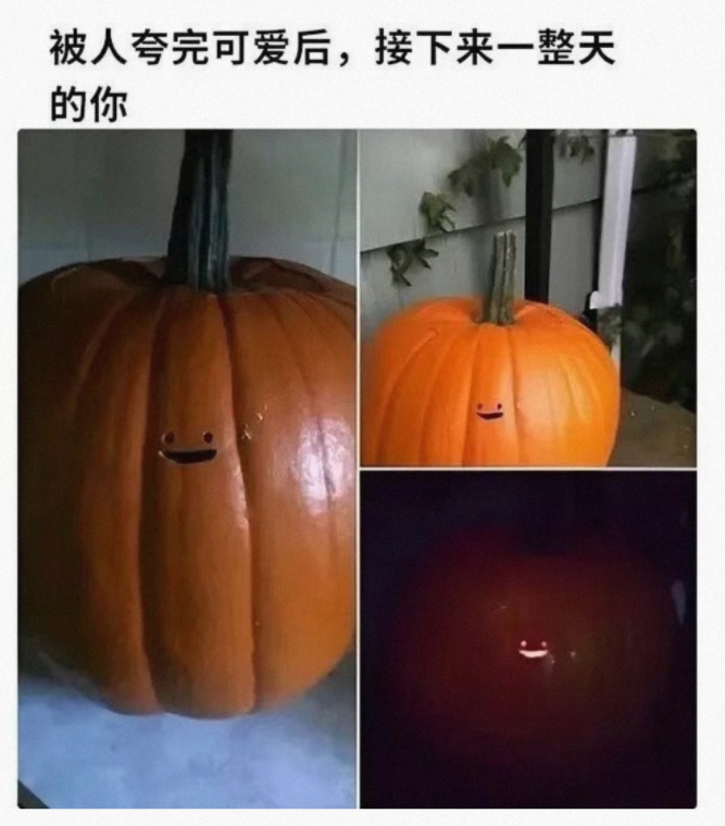 当我被人夸完之后