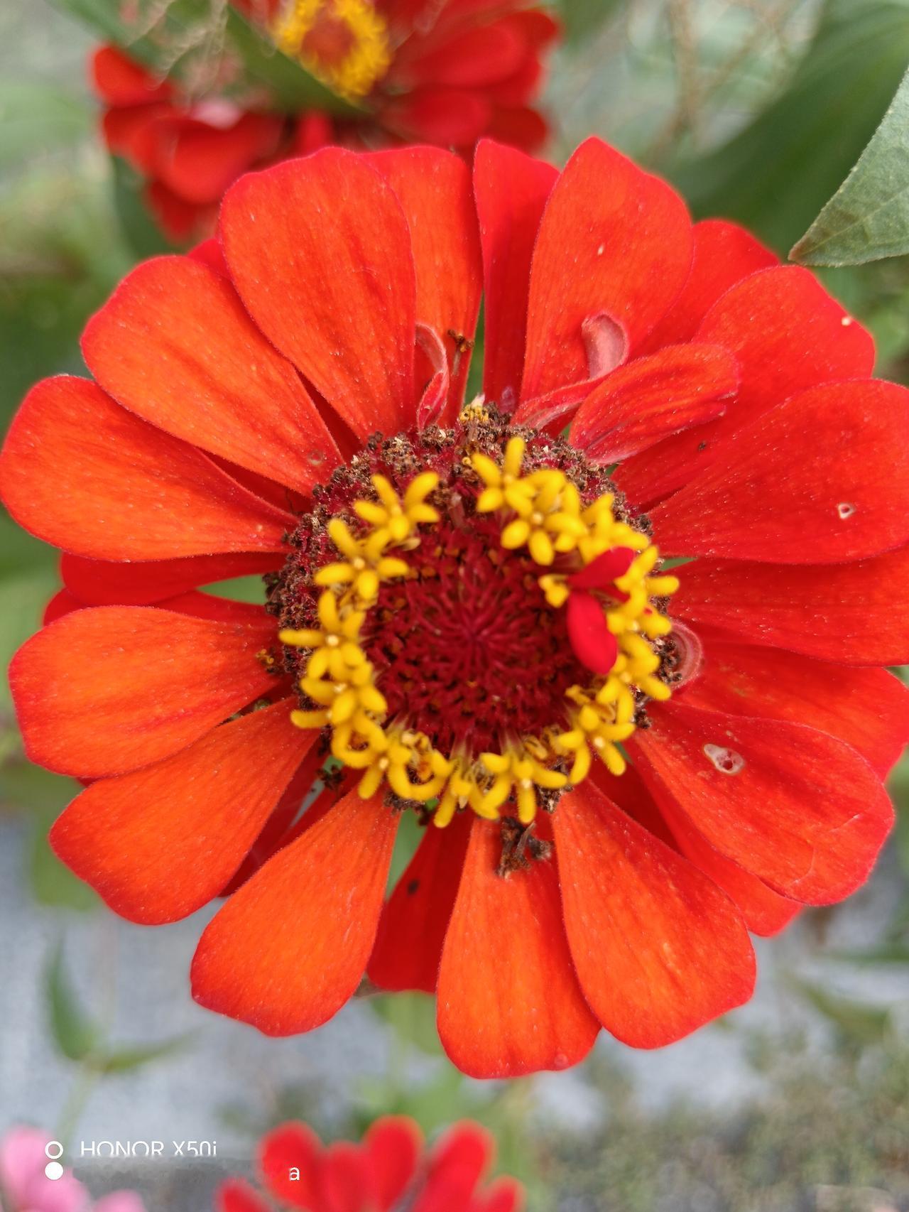 身份证要成老年优待“通行证”了！2026年元旦起，老年证彻底退出历史舞台，2.