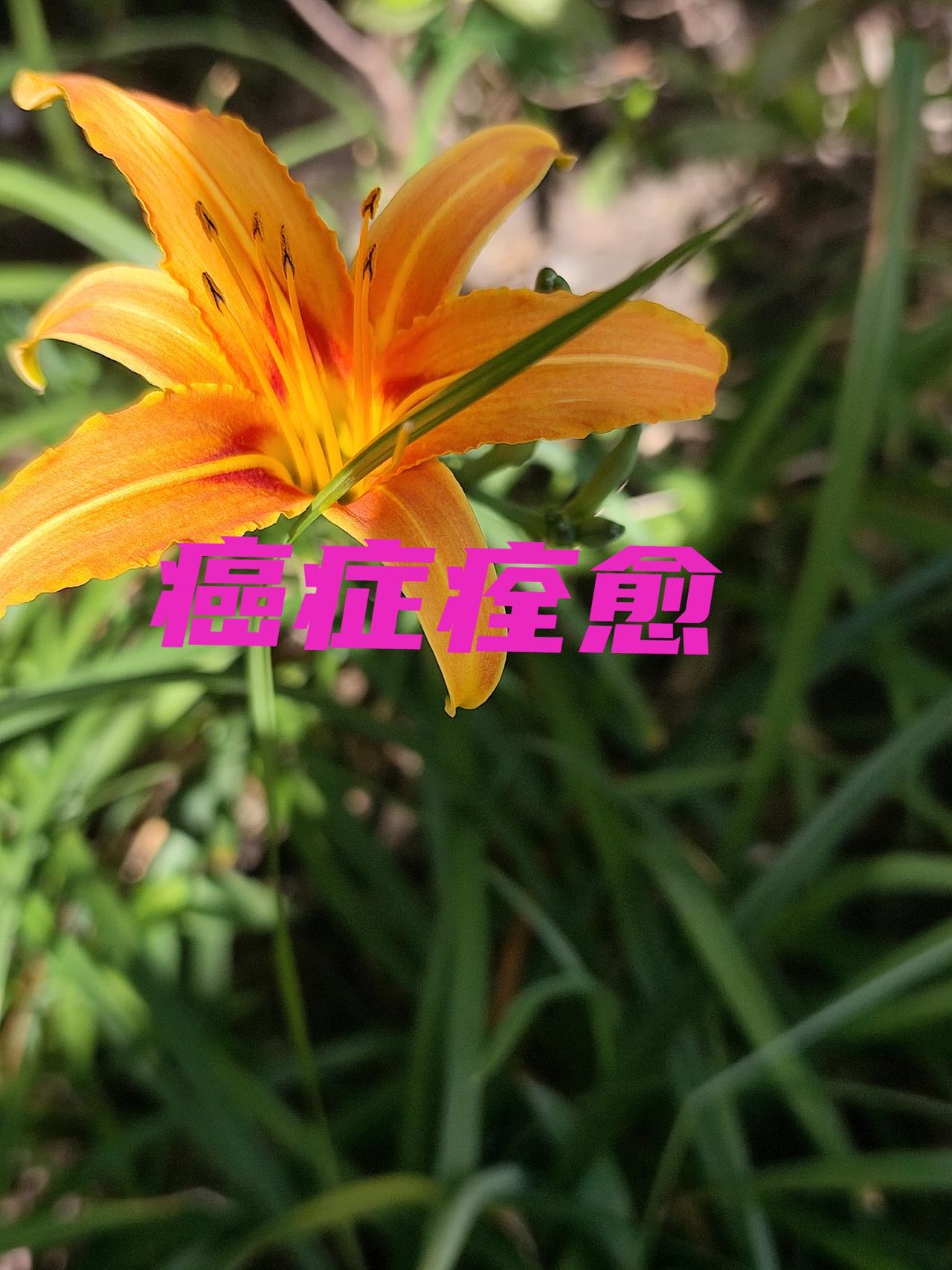 什么人都可以痊愈。只要符合以下5个条件。别被那些分期、病理、危重程度的数字吓倒