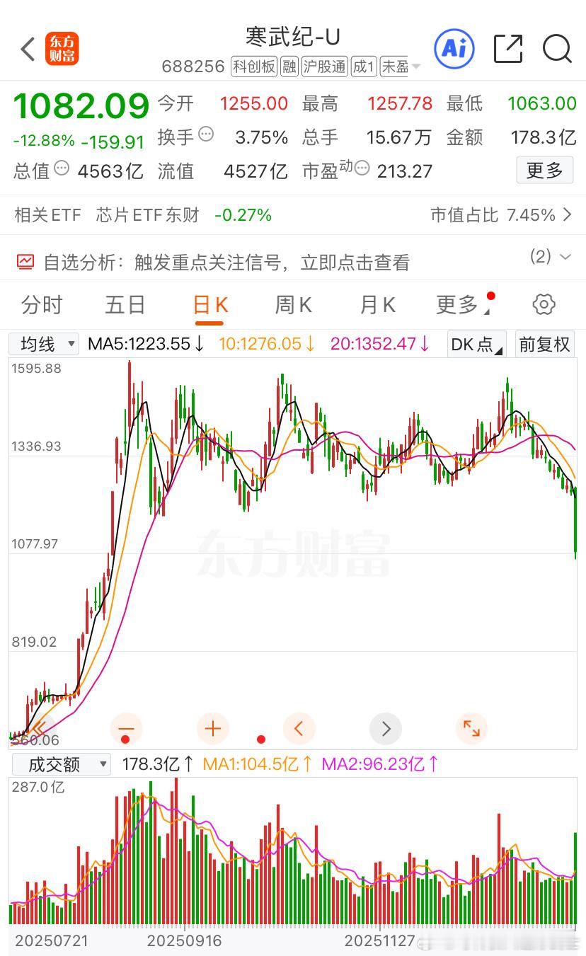 寒武纪看不懂的始终不会买，能买的始终在线