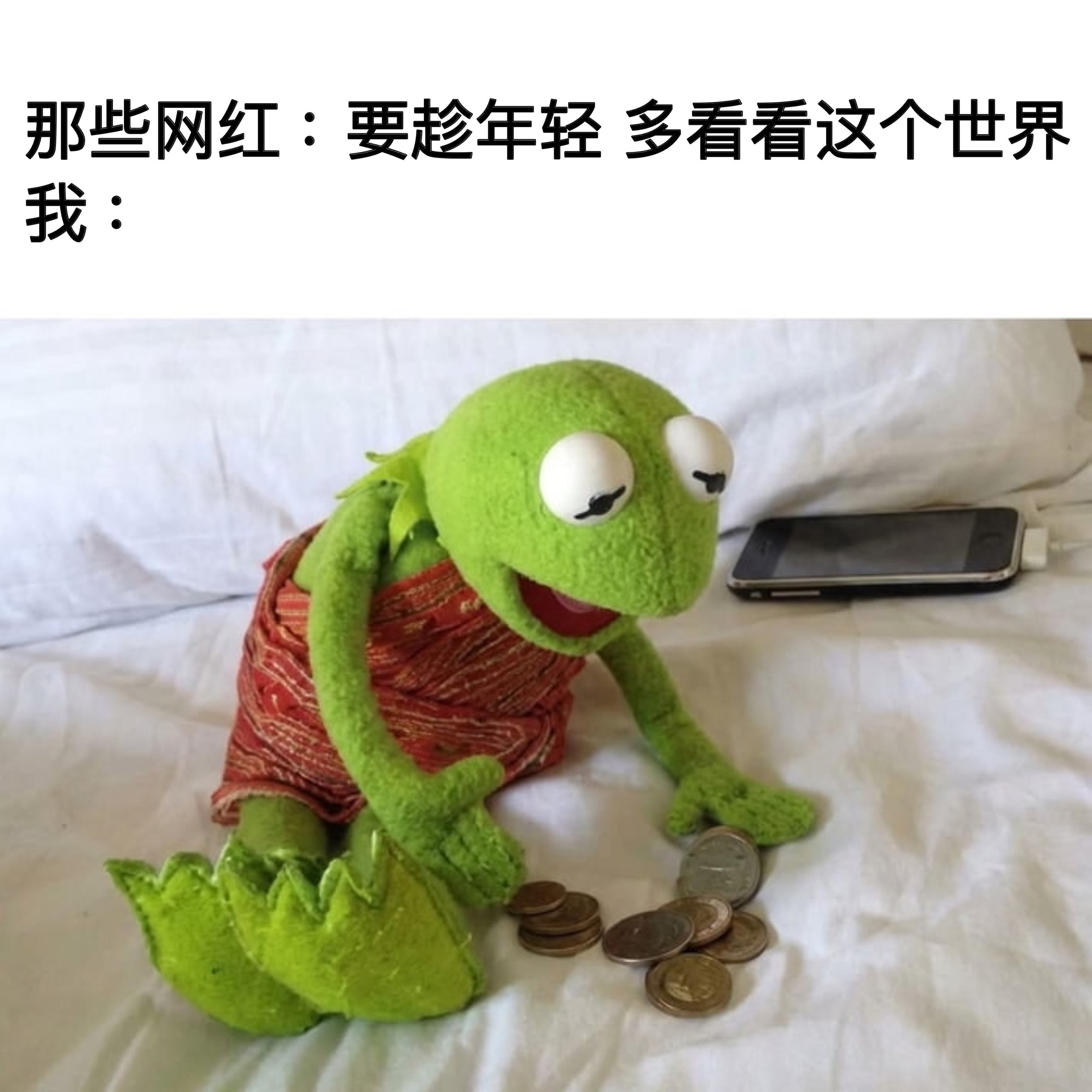 我看手机memes