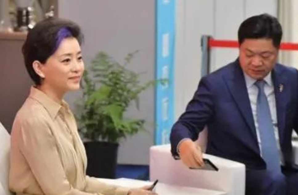 1994年，富豪吴征斥资500万买下一艘游艇，把有夫之妇杨澜邀到游艇大胆表白，杨