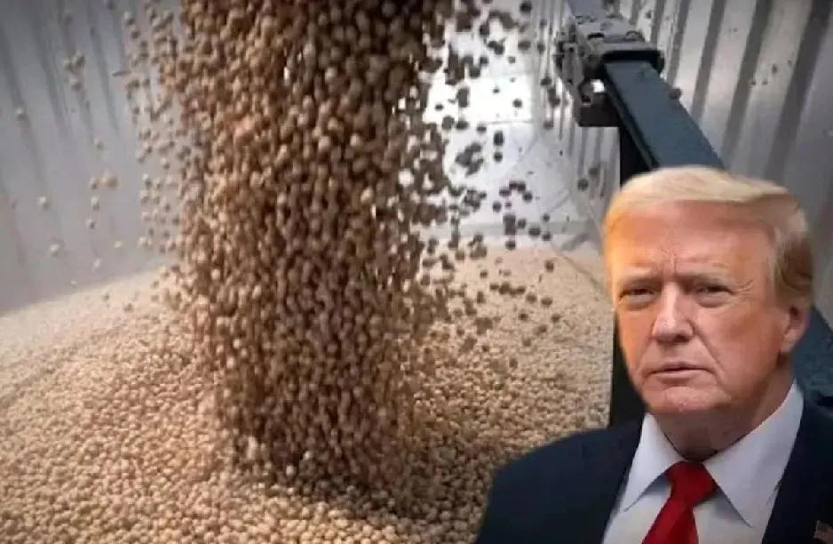 万万没有想到，中国展现极大合作诚意，大量买美大豆，放宽稀土供应，却换来了美