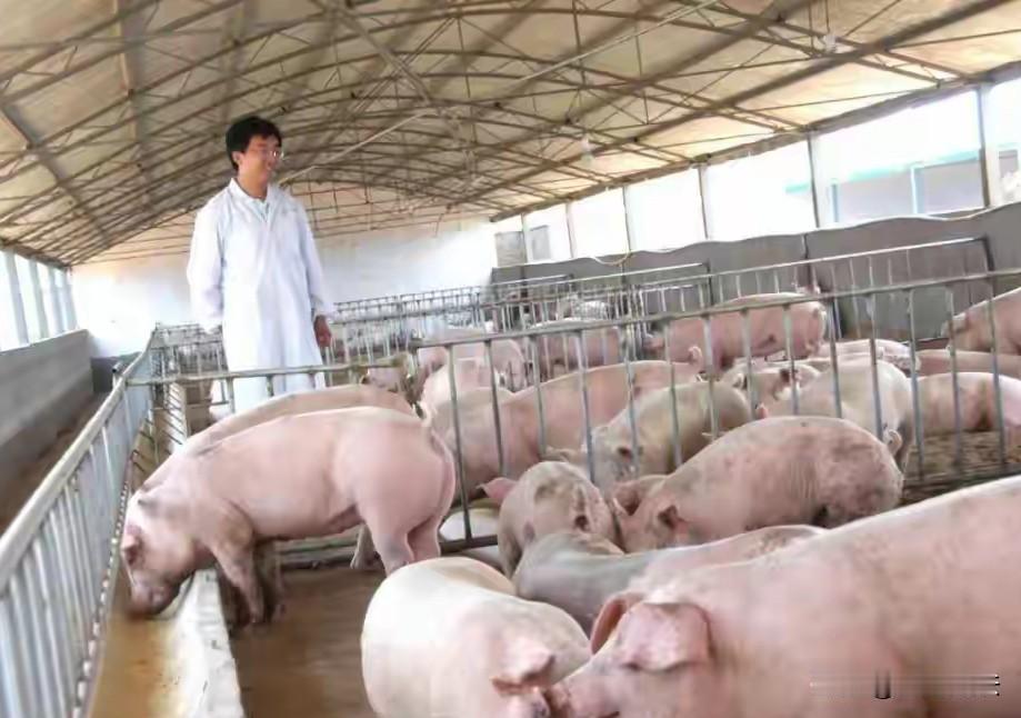 河南驻马店，一对夫妻经营公司，还养殖种植，年产值6000万，资产过亿，不料，俩人