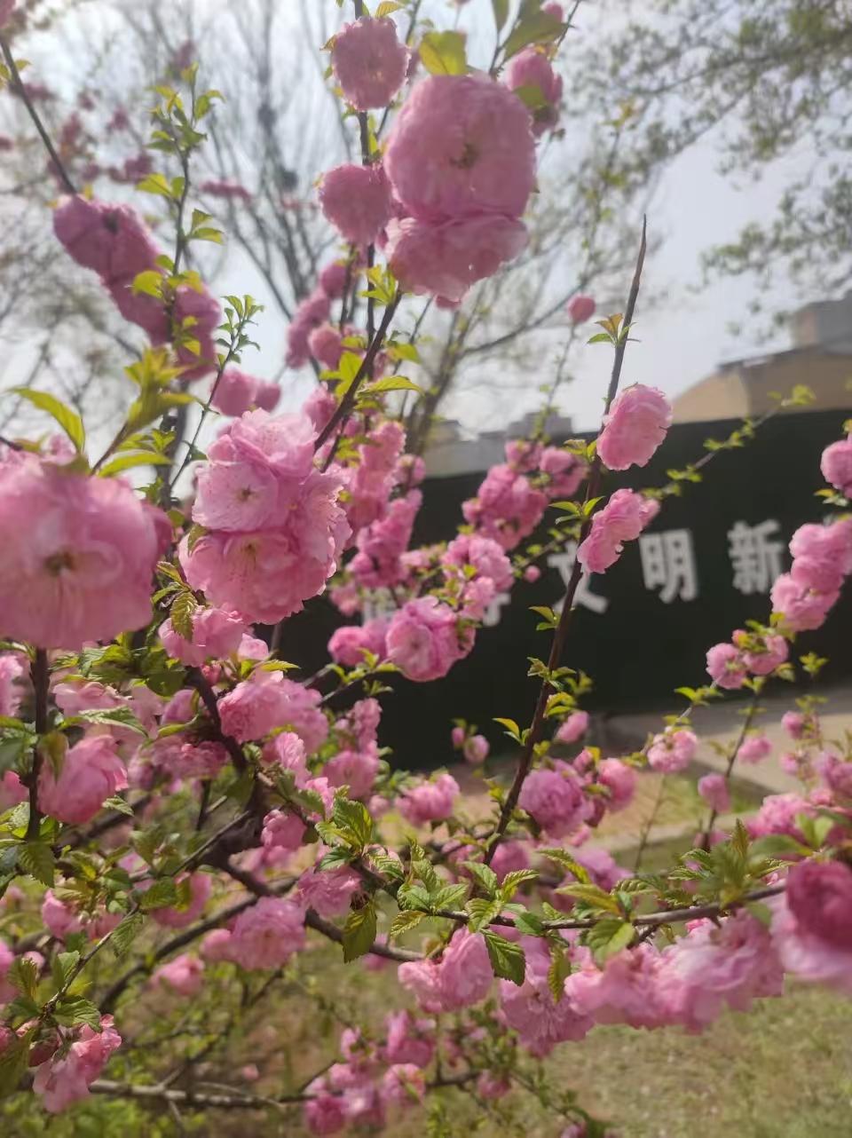 某伦，东北帮帮主。原来撕威静，现在撕柴桑，都别理他们也别去听，让他们自动凉。