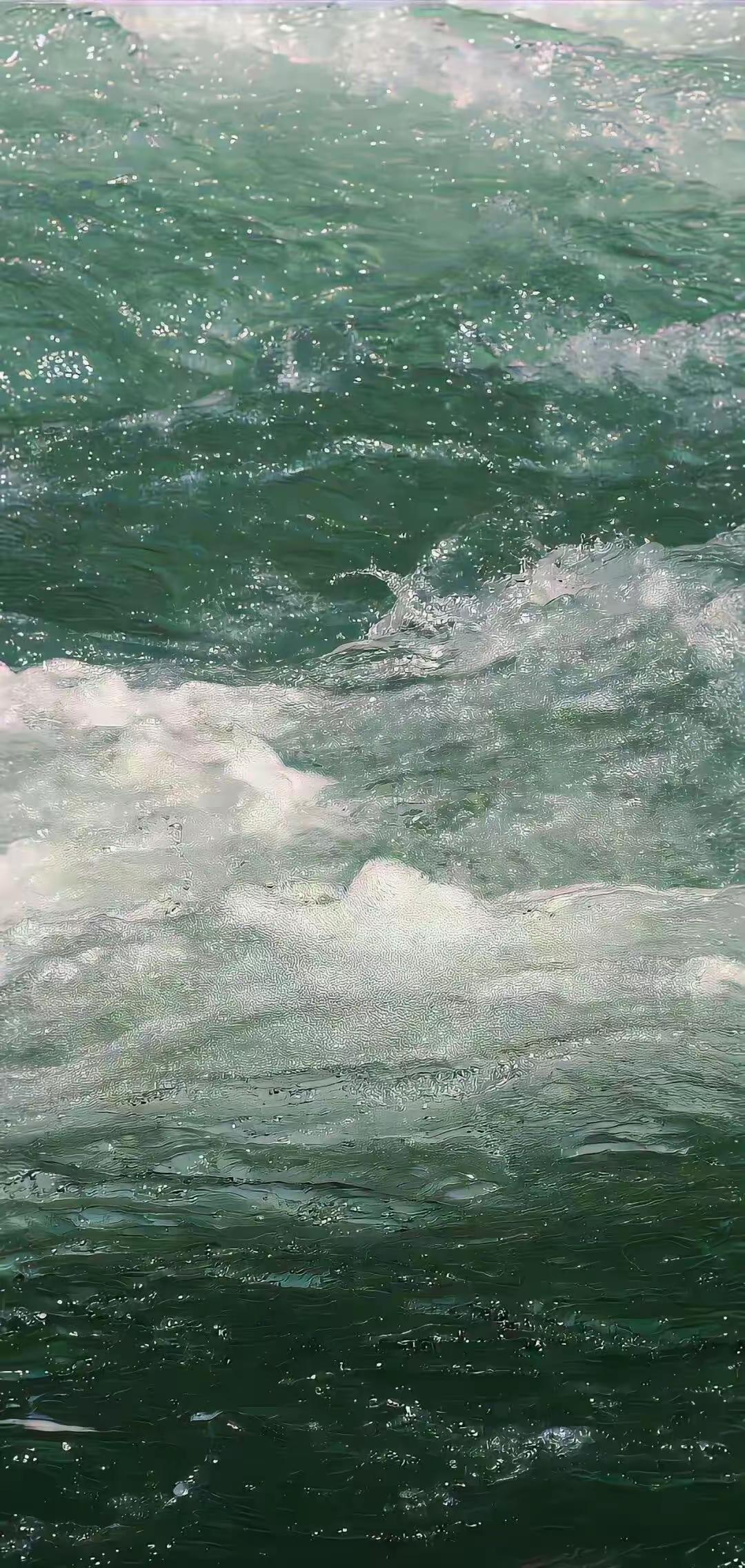 让人唏嘘的一句话：​​“整个家族都是底层牛马，唯独出了一个想翻身跃龙门的男丁