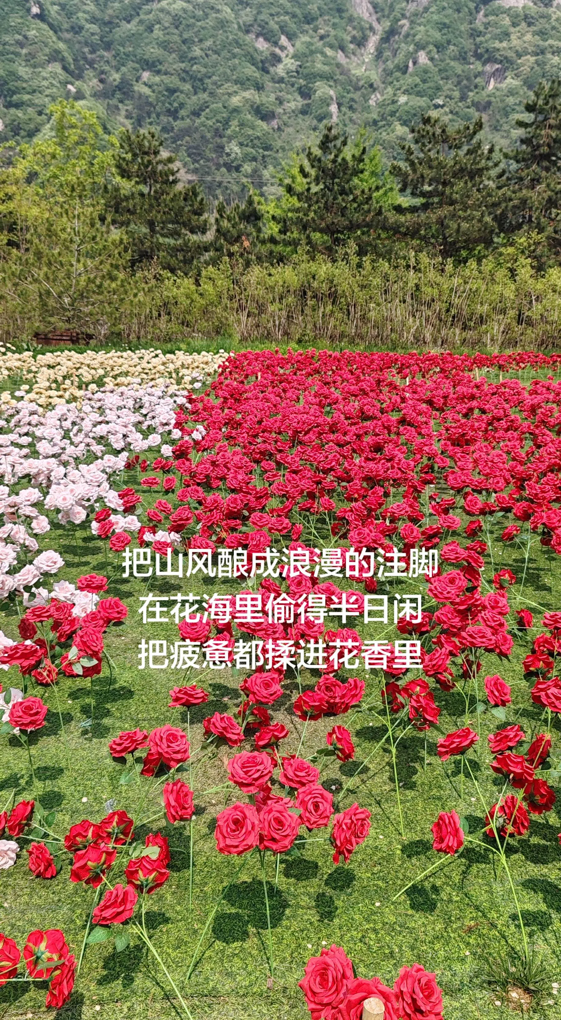 我的图片 ai创作 记录身边的绝美春色 用镜头定格春日的美景