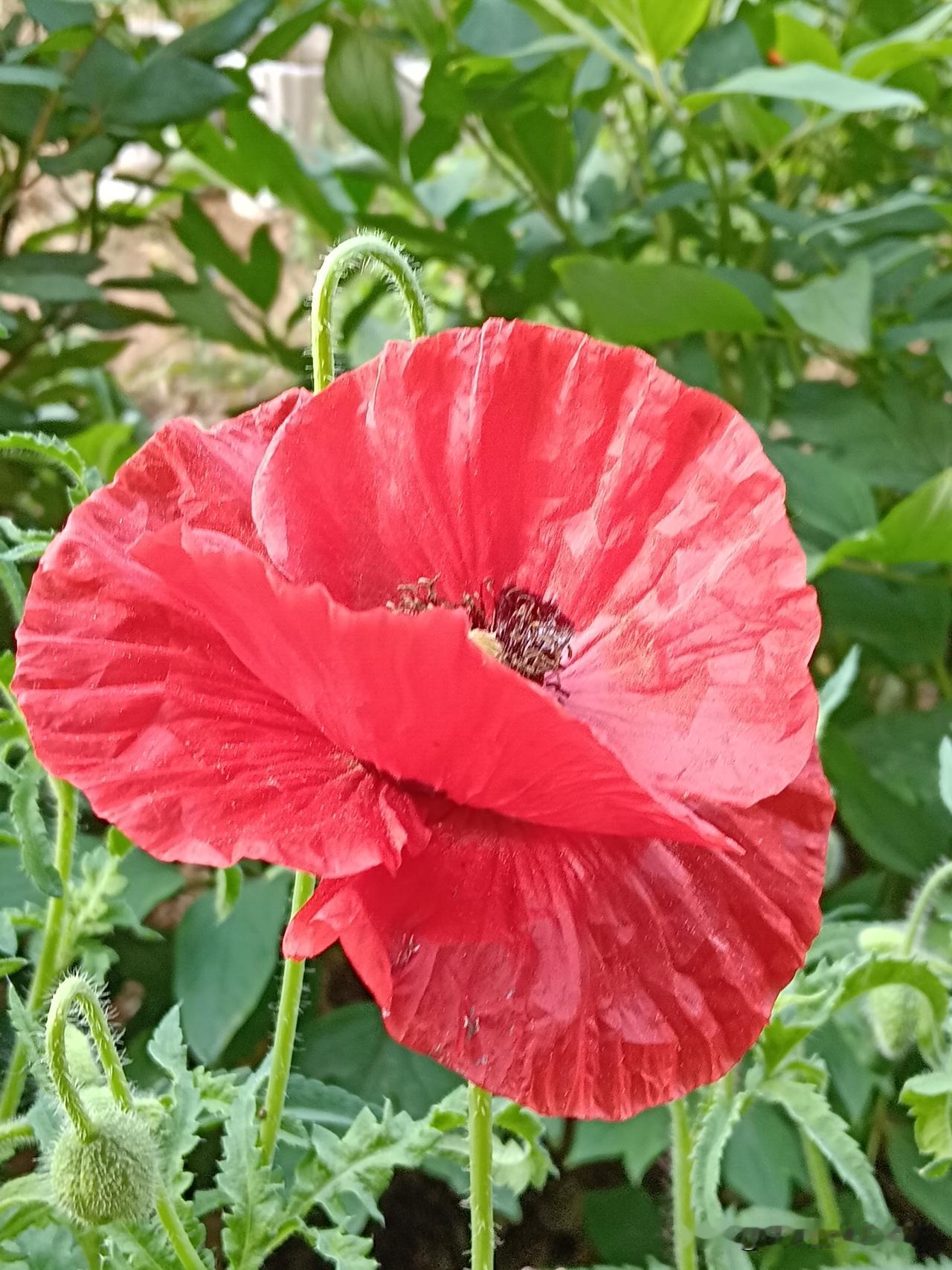 我姥爷给人看了一辈子风水，临走前跟我交了个实底：1.不管住哪，要说房子好2.