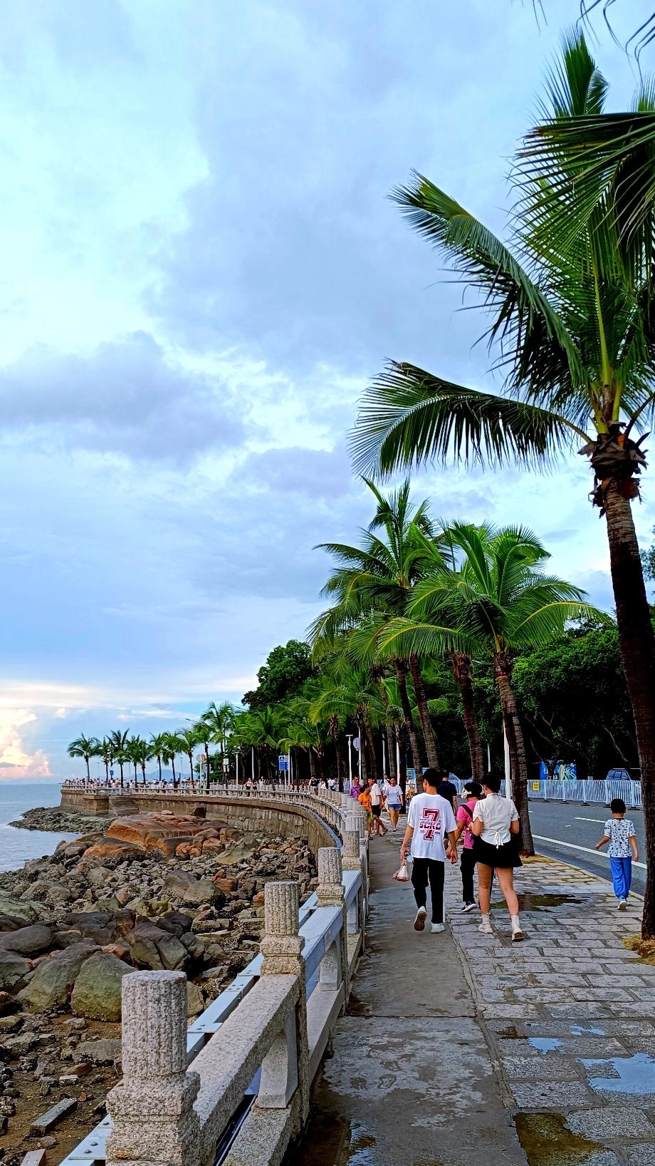珠海这个城市，感觉不如以前了，变得很喧嚣嘈杂。想想十几年前，每次坐着车一进珠