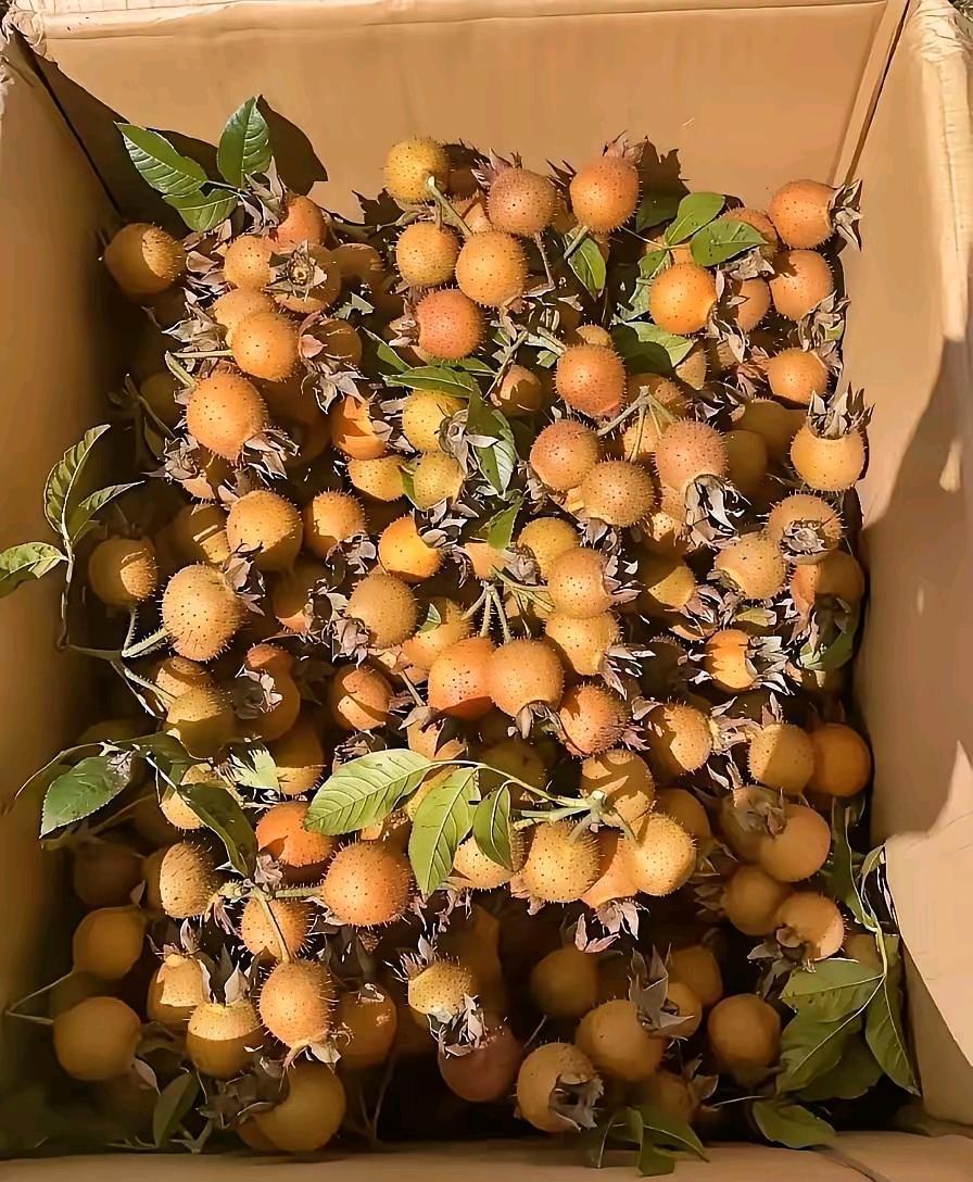 这是什么水果啊？