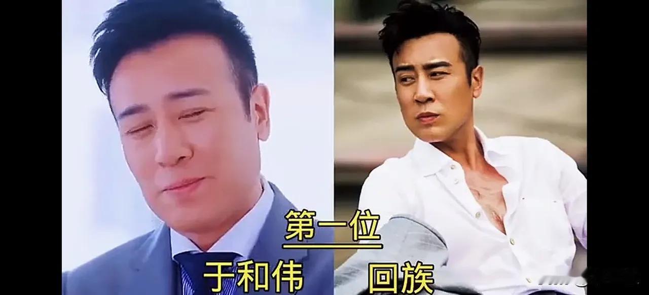 具有少数民族背景的男明星，包括回族、满族、赫哲族等，展示了他们的成长经历、艺术成