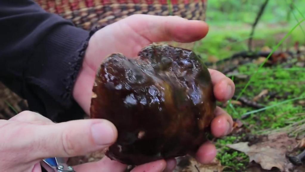 12476410258704111996.jpg?id=0