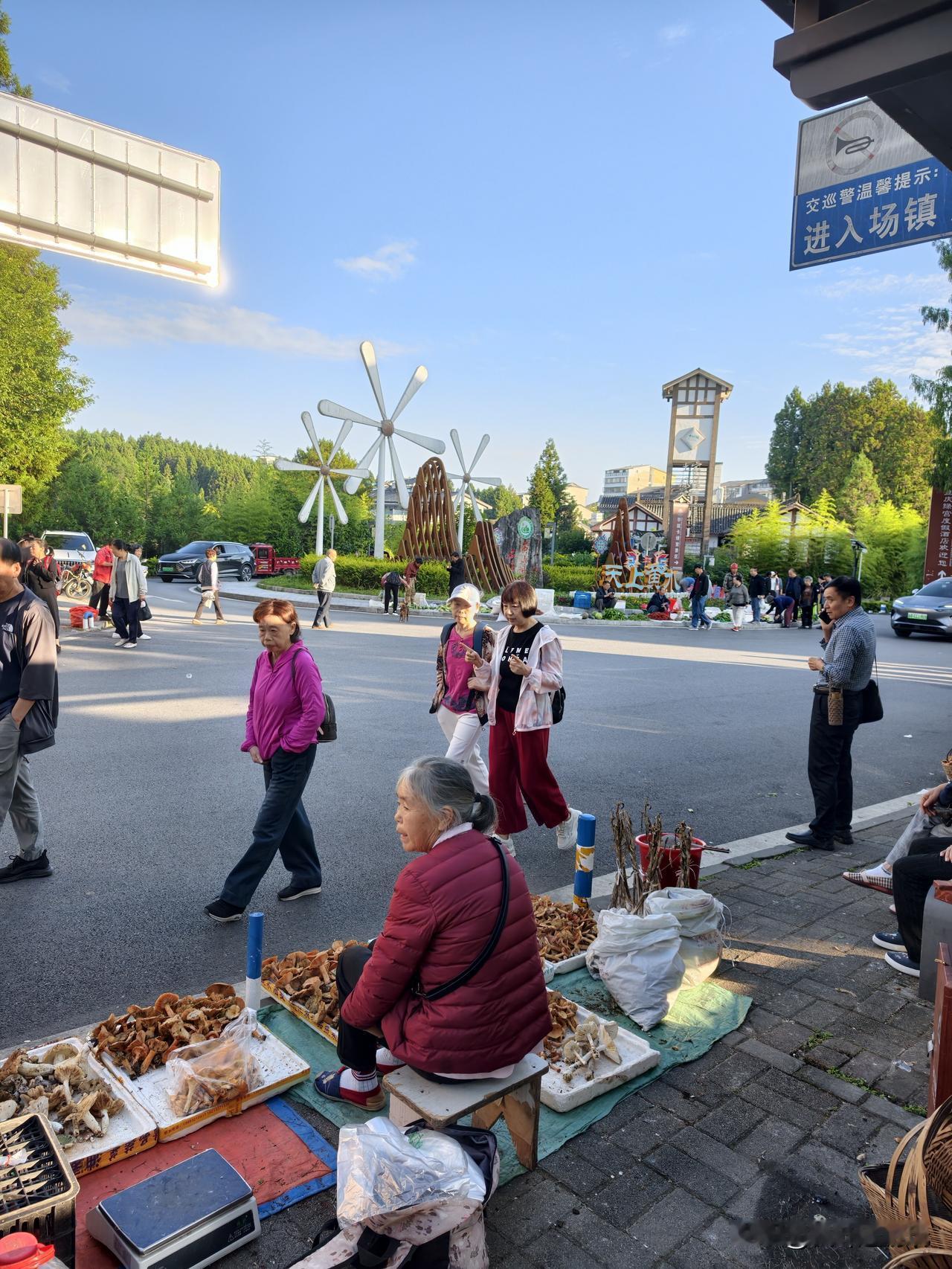 实拍今日黄水路边摊，卖新鲜菌子的不少，摊主都说是才从山里采摘的！