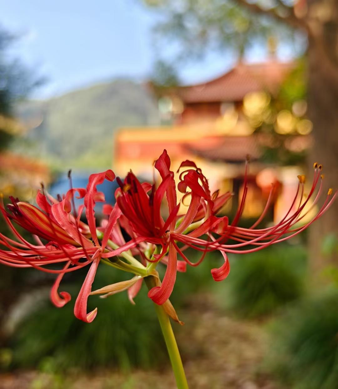 大自然非常的神奇，各有各的美丽，各有各的风采。
