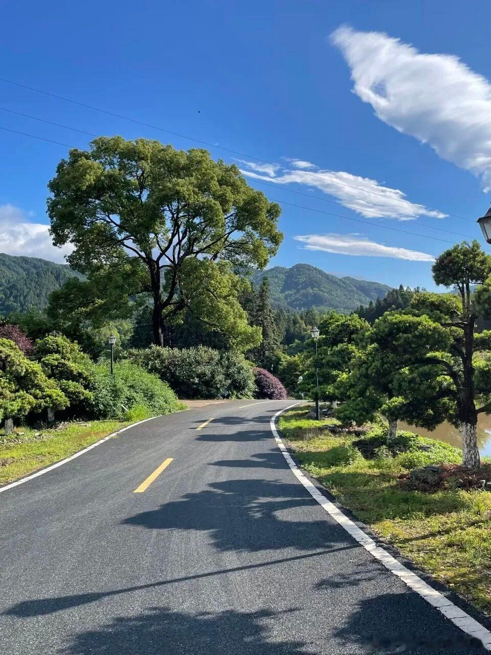 告别城市的繁华喧嚣，卸下半生的奔波劳碌，择一处人烟稀少的静谧古村定居。从此远离市